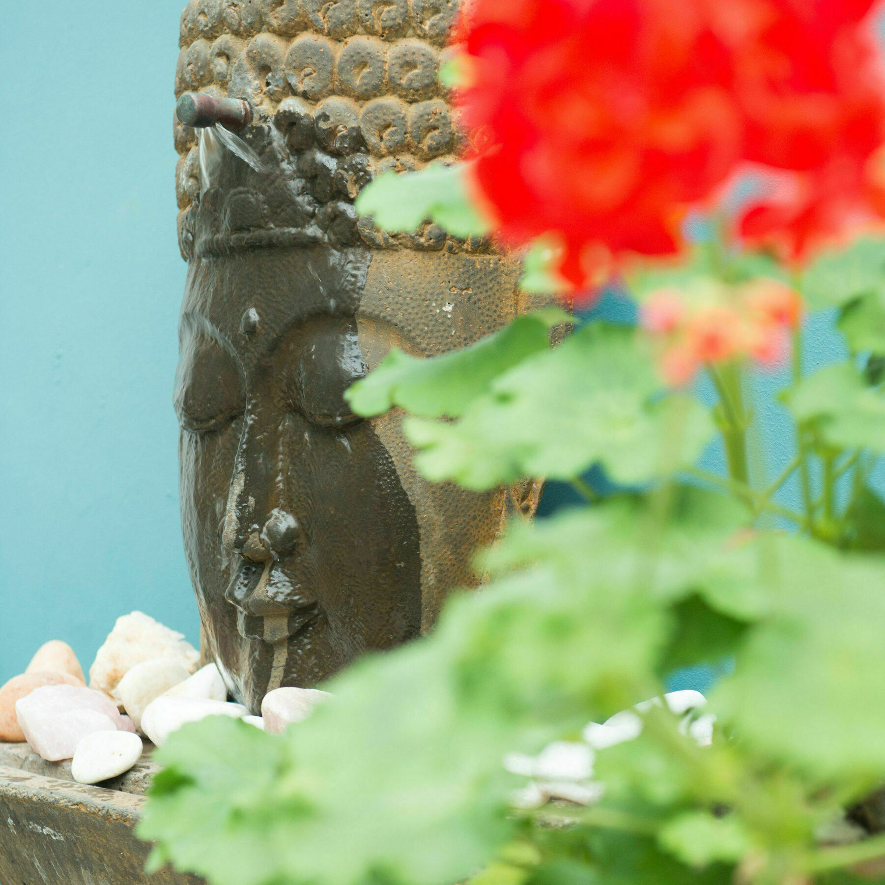 Avatara Bed & Breakfast Κέιπ Τάουν Εξωτερικό φωτογραφία