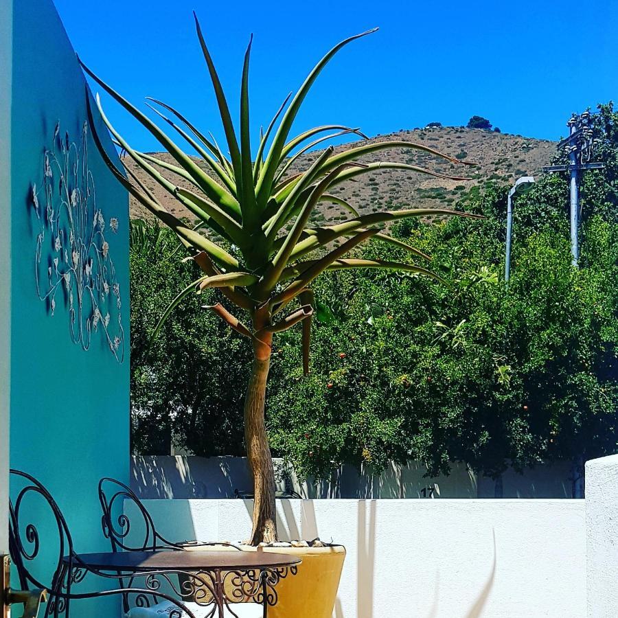 Avatara Bed & Breakfast Κέιπ Τάουν Εξωτερικό φωτογραφία